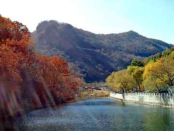 新澳天天开奖资料大全旅游团，黄磷